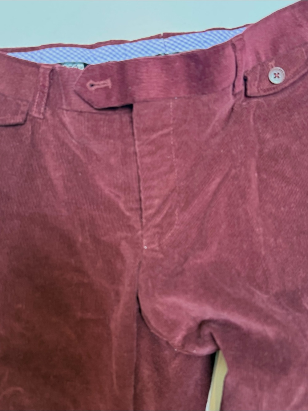 Joe's Jeans Burgundy Velvet Pants View 3